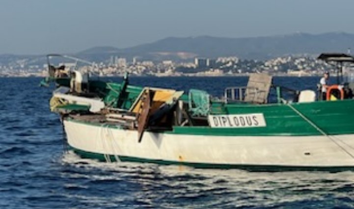 Image of the Diplodus damaged after collision off coast of Marseiile.