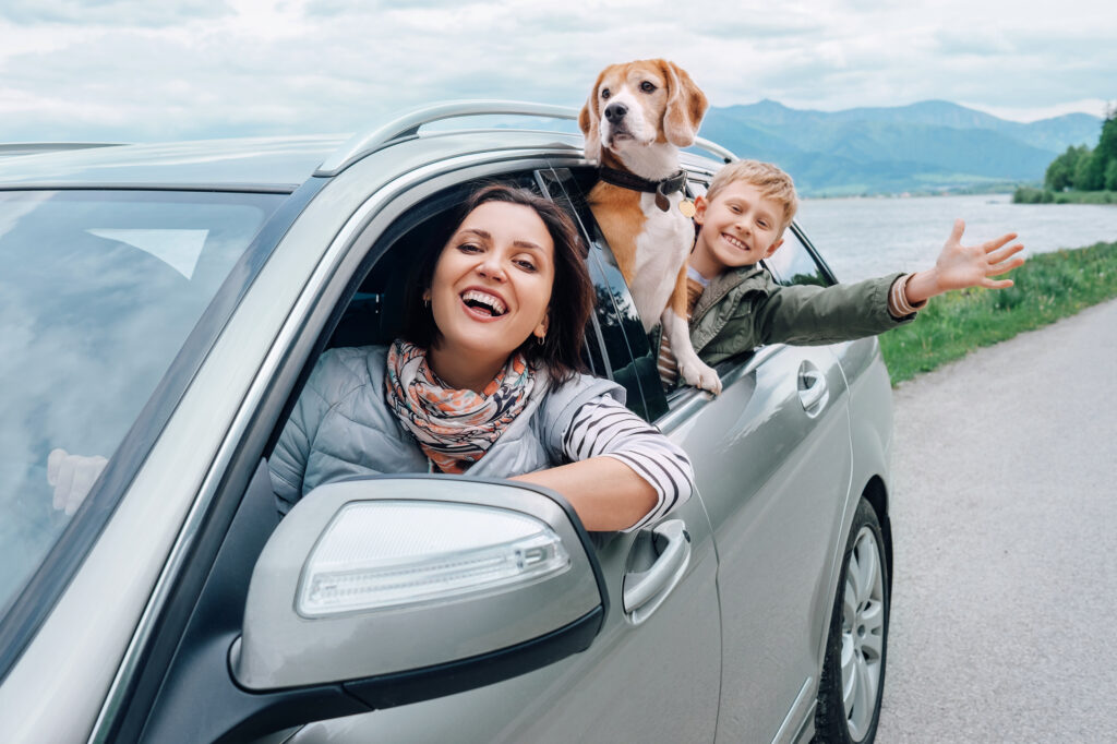 Image of a family travelling with a dog in the car.