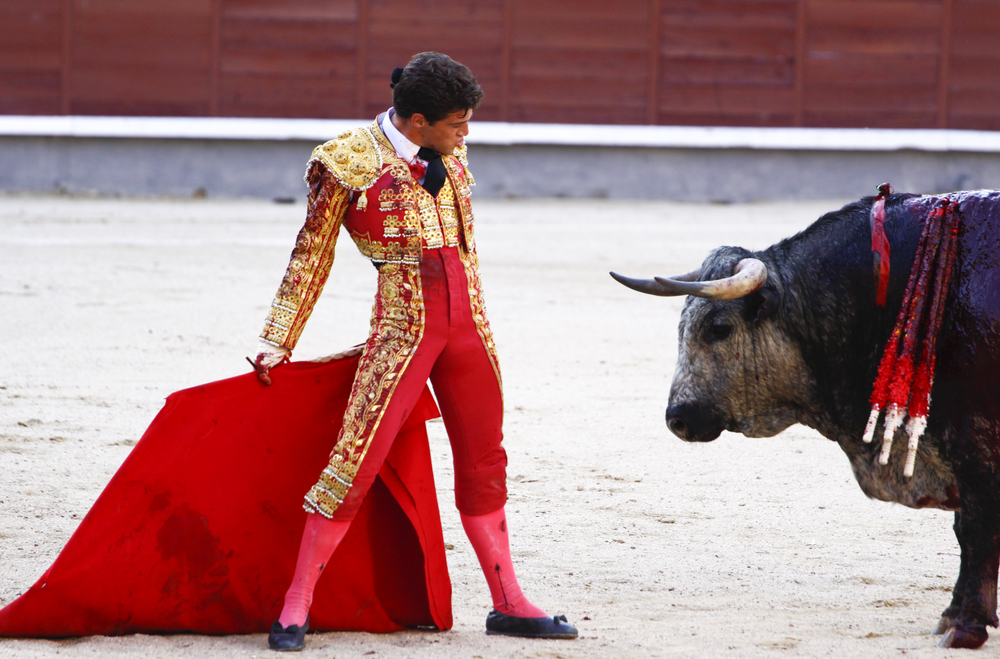 Pro-Bullfight Lobby Wins In Mallorca