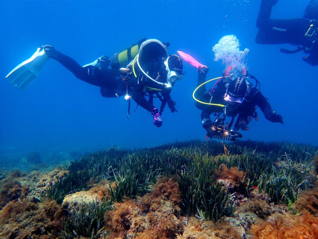 Nerja's Ocean Odyssey: Dive Into The Wonders Of The Deep Blue 