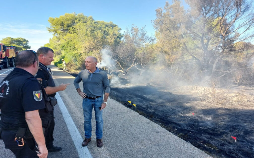 Image of burned area in El Saler, Valencia.
