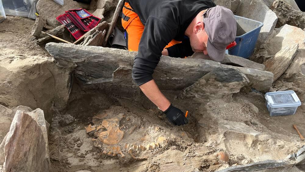 A 4,000-year-old stone tomb discovered in seljesanden Norway