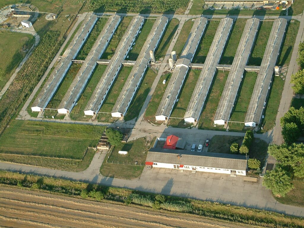 Farm buy-outs nobble Netherlands nitrogen