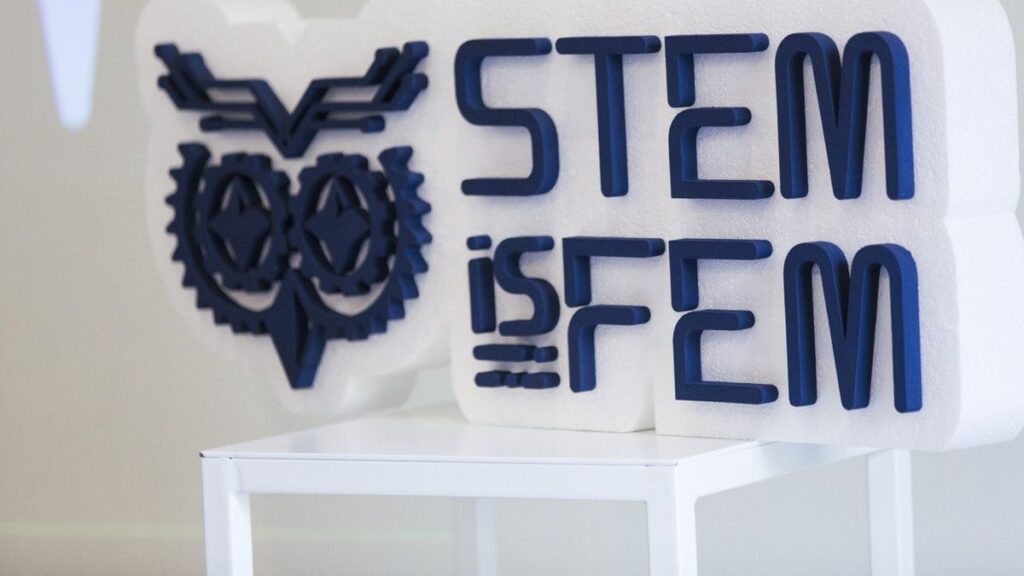 Picture of the logo for Stem Fem