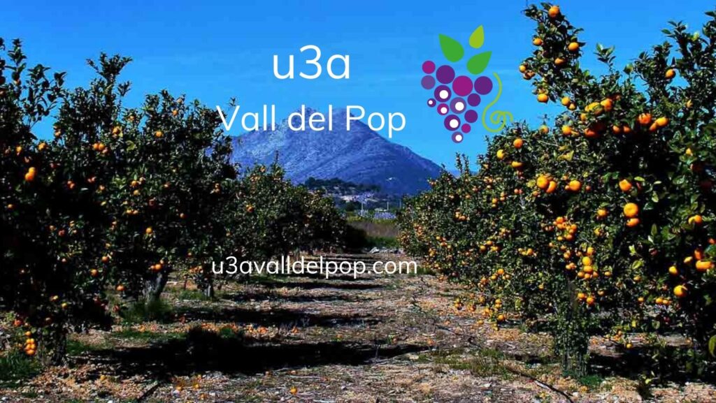 U3A Vall del Pop's rocking charity event with OK Band raises €1952.