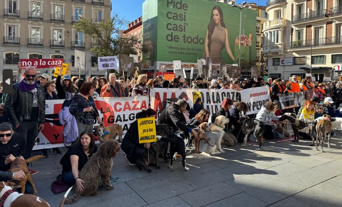 Protest highlights plight of hunting dogs in Spain