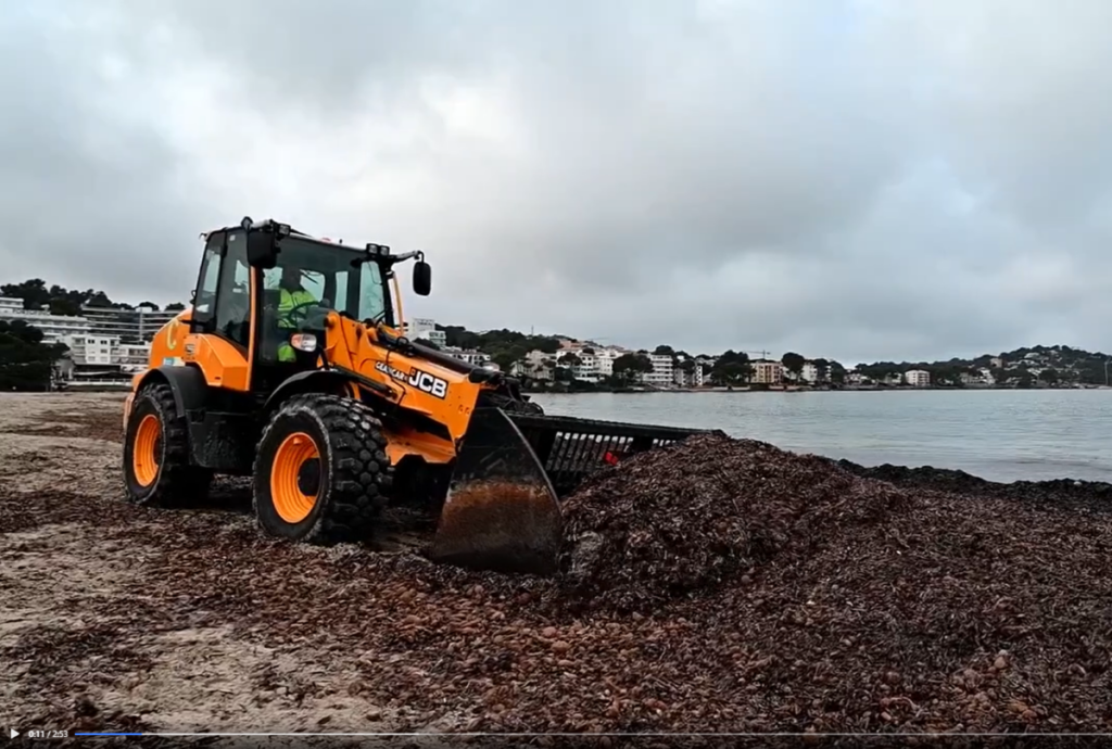 Tractor cleaning beach in Calvia