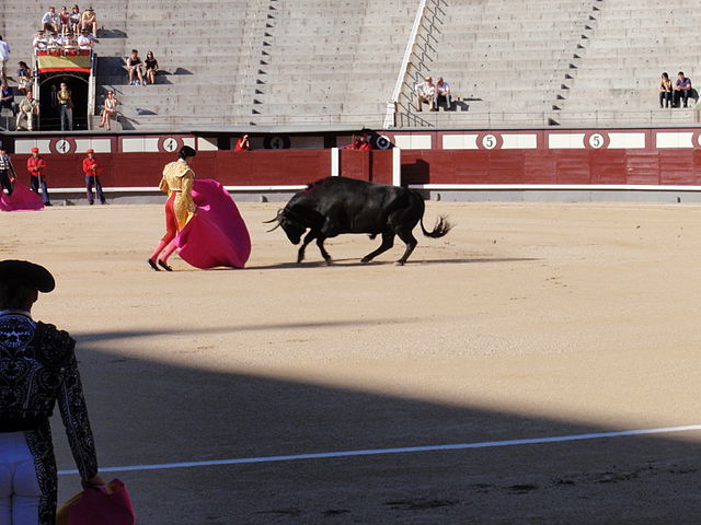 Anti-bullfighting campaign