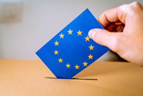 Attention voters: Verify your details for the European elections.