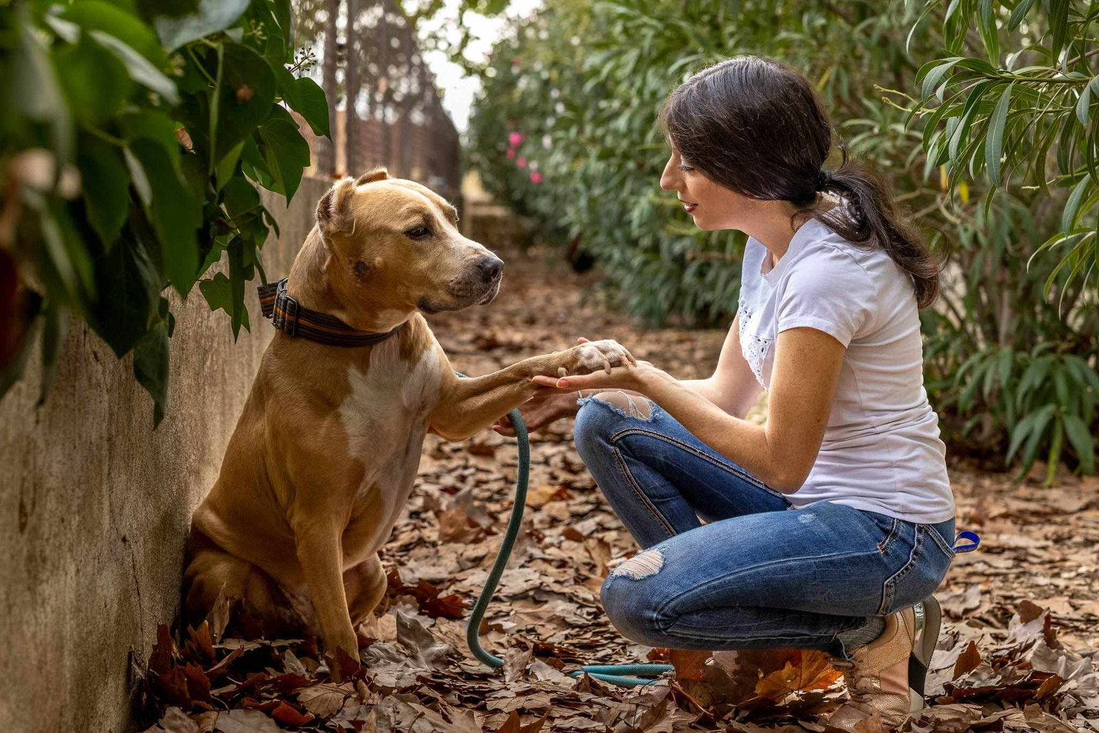 How to Support Animal Rescue in Mallorca « Euro Weekly News