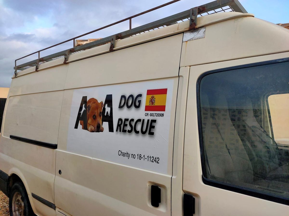 AA Dog Rescue Albox « Euro Weekly News