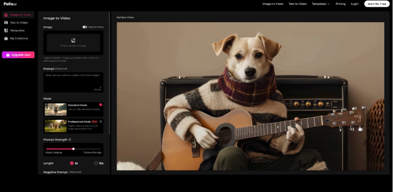How to Generate AI Videos from Images with Pollo ai