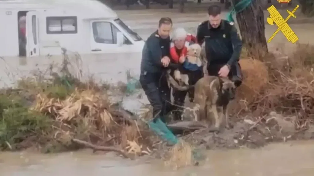 Elderly Couple Rescued « Euro Weekly News