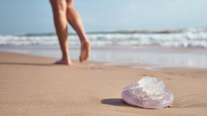 A person walking on a beach with a jellyfish in the background, much like those that are found on the beaches of Spain