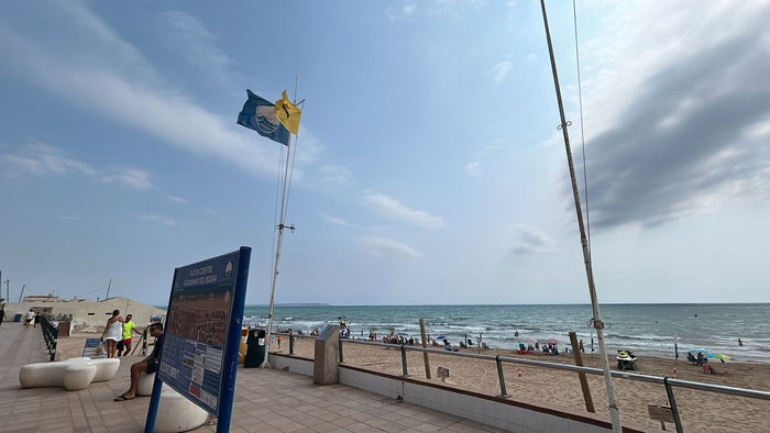 The 'deadly' Blue Dragon seems to be invading more beaches in Spain | Credit: @joselsaezpastor/X