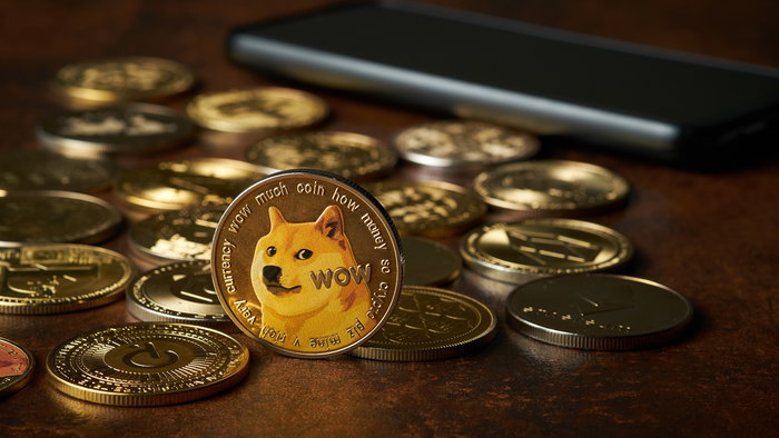 Memecoins need to evolve or they will stagnate both in growth and utility | Credit: alfernec/Shutterstock