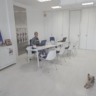 For many expatriates in Spain, arranging insurance can feel complicated.