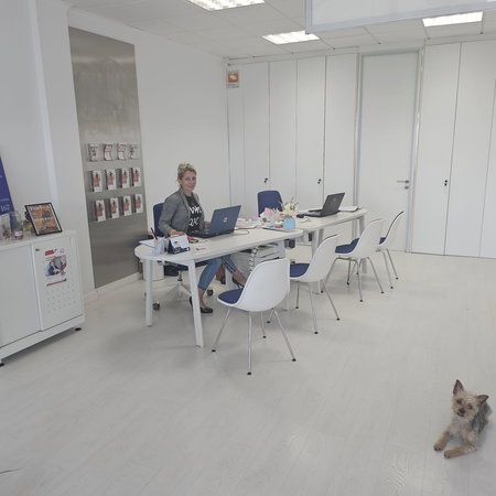 For many expatriates in Spain, arranging insurance can feel complicated.
