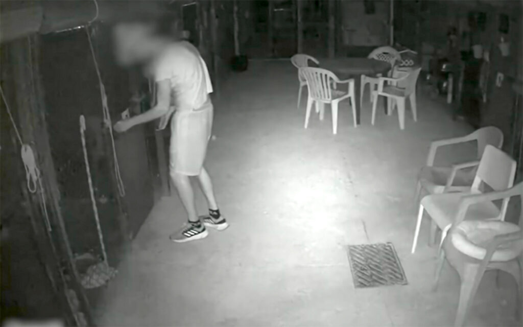 Benidorm Kitten Killer: Judge Delivers SHOCKING Sentence!