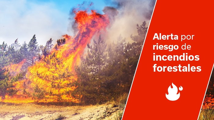 Forest fire warning sign beside an image of blazing trees, highlighting the wildfire risk caused by rising temperatures in the Canary Islands.