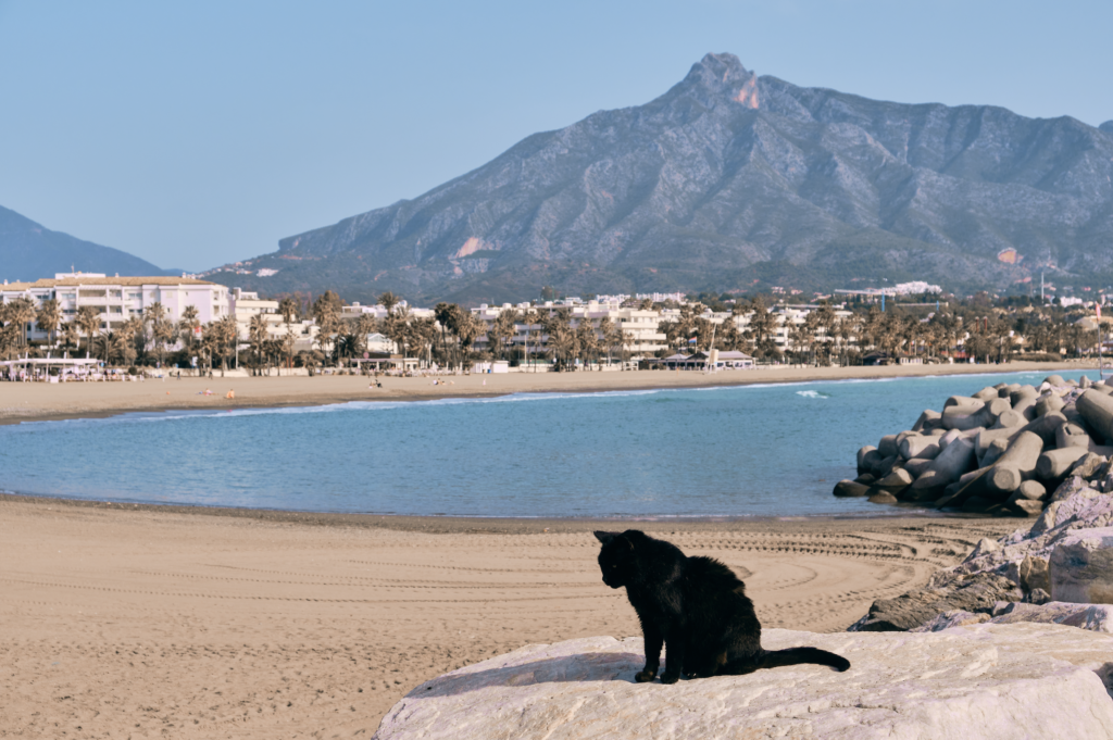 Unlucky in Spain? Shocking Superstitions That Could Change Your Life!