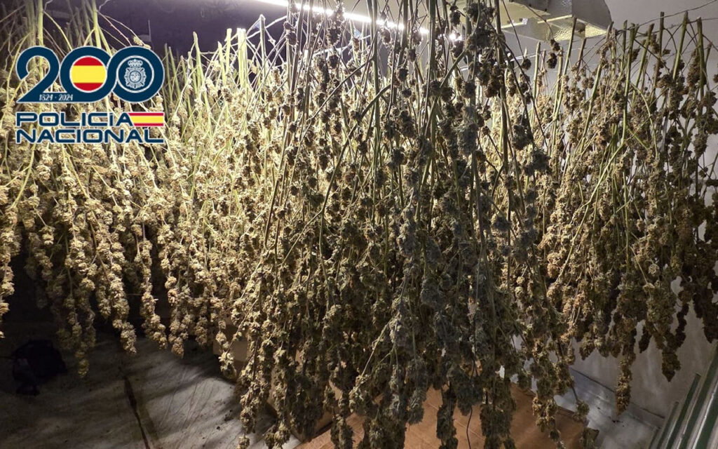 Three arrested after sophisticated marijuana set-up found in rural property