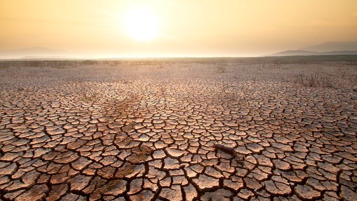 Dried terrain with sun setting in the background