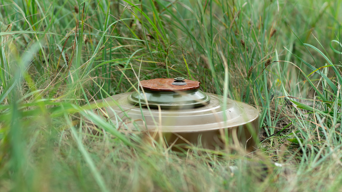 Ant personnel landmine hidden in the grass
