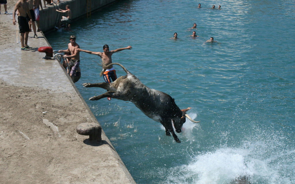 "Bous a la Mar" Ban Incoming?! The Shocking Controversy Dividing Spain!