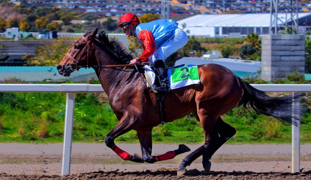 Mijas Hippodrome Rises From The Ashes! What Happens Next Will Shock You!