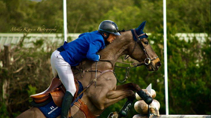 Man in a blue jacket jumping on a brown horse