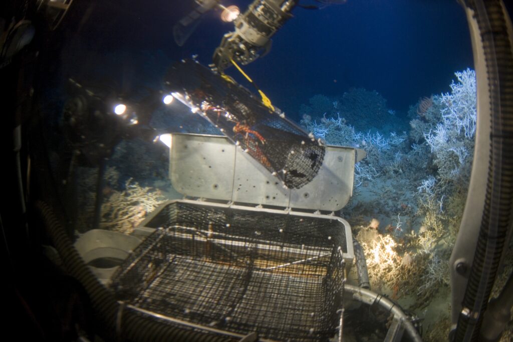 Denia's Seas Reborn?! What They Found Will Amaze You!