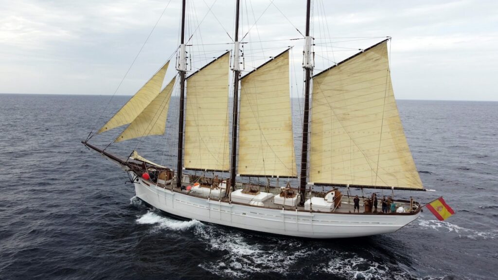 Iconic Sailboat Returns! But Why Are Crowds Stunned?
