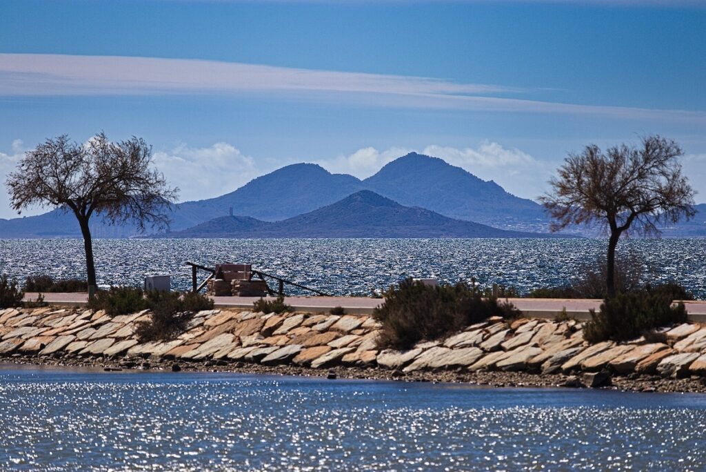 Mar Menor Tragedy: Volunteers Uncover Shocking Waste Levels!