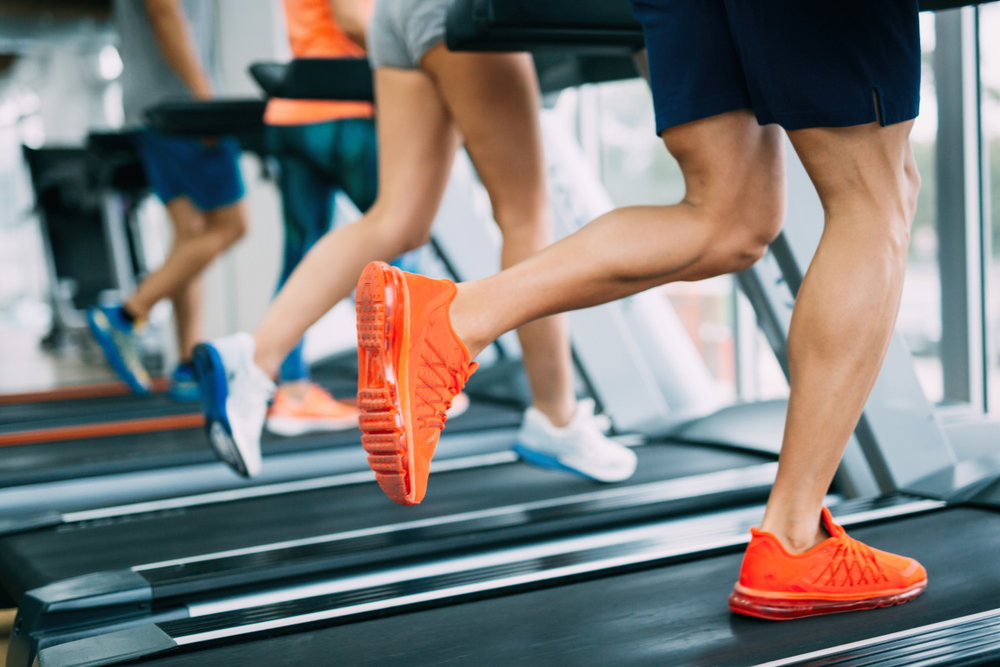 Is B@les Palma The Key To Lasting Healthy Habits For Adults?!