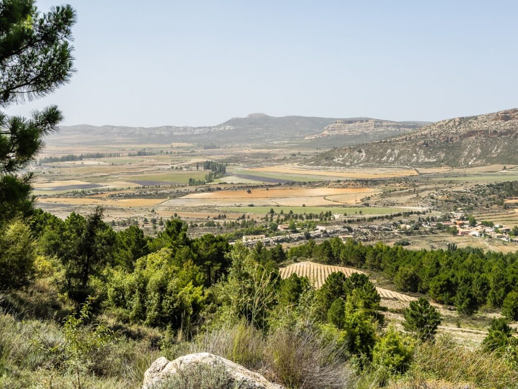 Elon Musk's SHOCKING Plan: Will Rural Spain Power ALL of Europe?!
