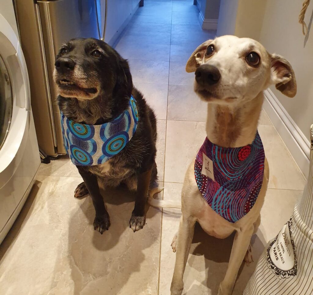 Pet Owners Rejoice! The House-Sitting Hack You NEED to Know!