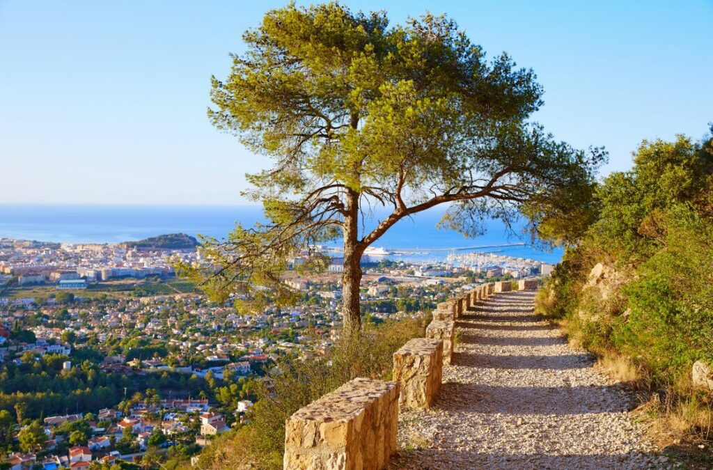 Costa Blanca Trails Win Big! What This Means for Valencia Hiking?