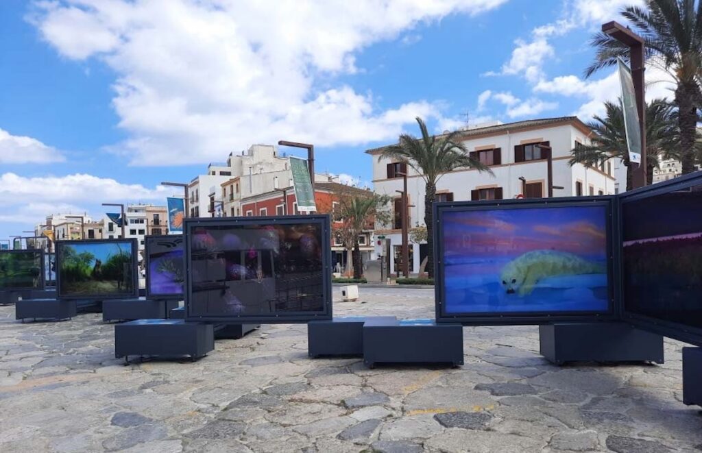 Orihuela STUNNED! National Geographic's 'Colours' Exhibition Arrives!