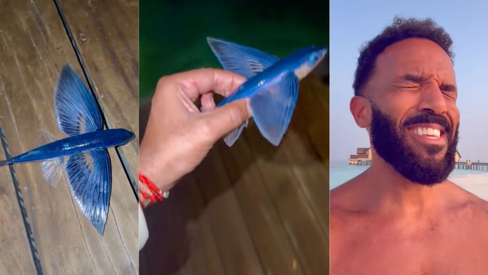Craig David's viral video