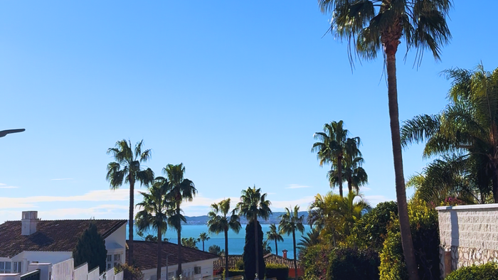 When the sun returns, life opens again.