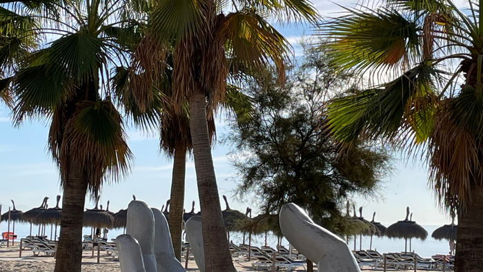 Spring invites you to move forward, lighter, calmer and with more ease.