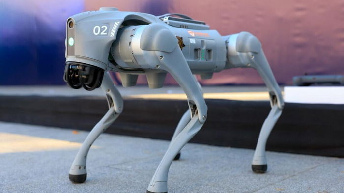 Robots to be lookout for hooligans.