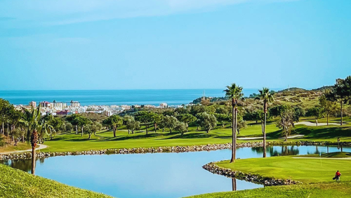 Small habits, done consistently, create energy, calm and longevity.