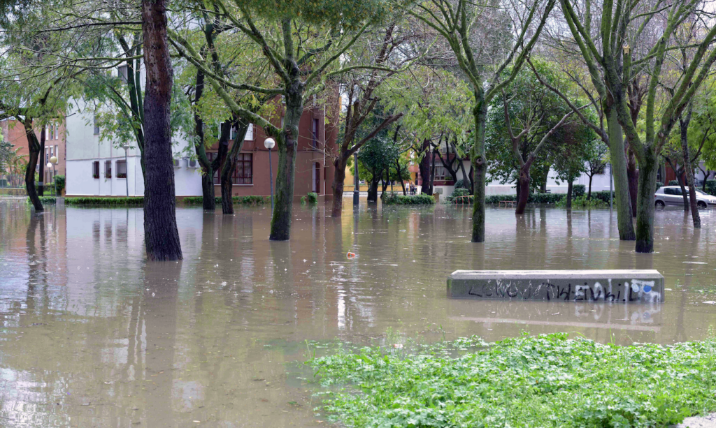 Cádiz Flood CRISIS: 900+ Evacuated! What Happens Next?!