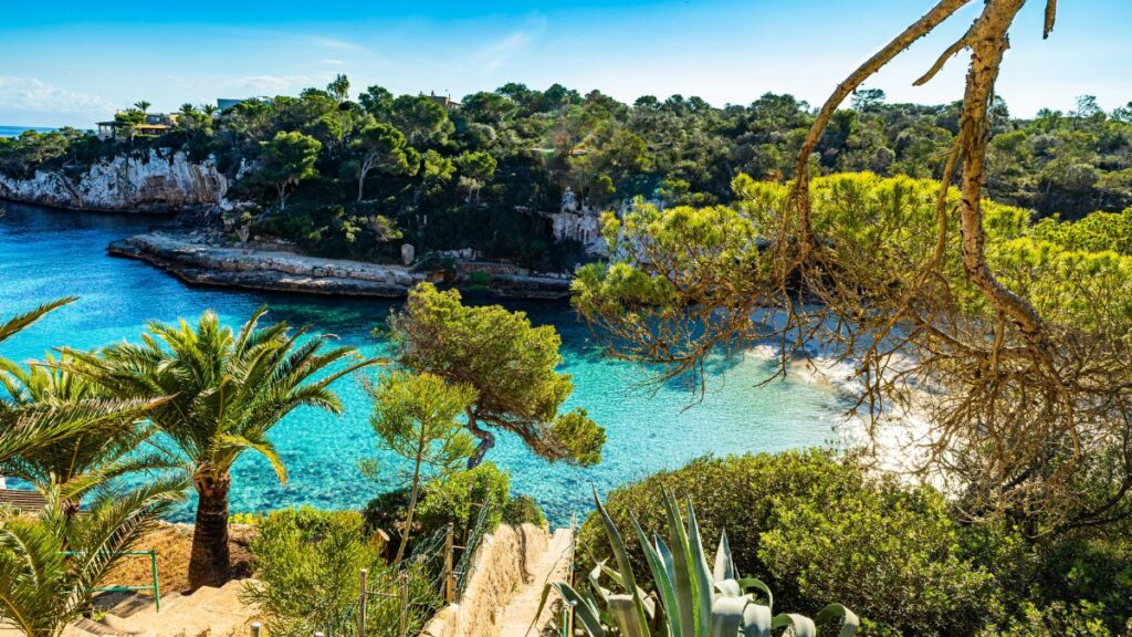 Mallorca's Hidden Gems REVEALED! The Secret Spots Locals Don't Want You To Know!