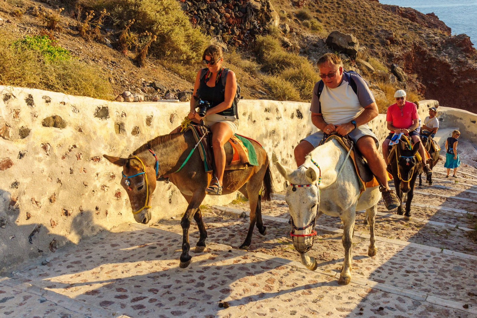 Greece sets weight limit on donkey rides as tourism debate heats up ...