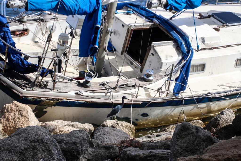 Ghost Ship Mystery: Abandoned Sailboat Found in Mallorca!