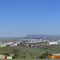 A Spanish town surrounded by olive groves