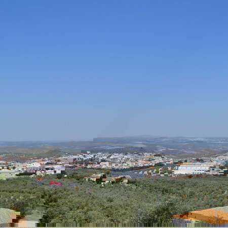A Spanish town surrounded by olive groves